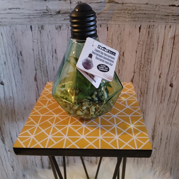 Homedeco Light Up Terrarium - Picture 3 of 7